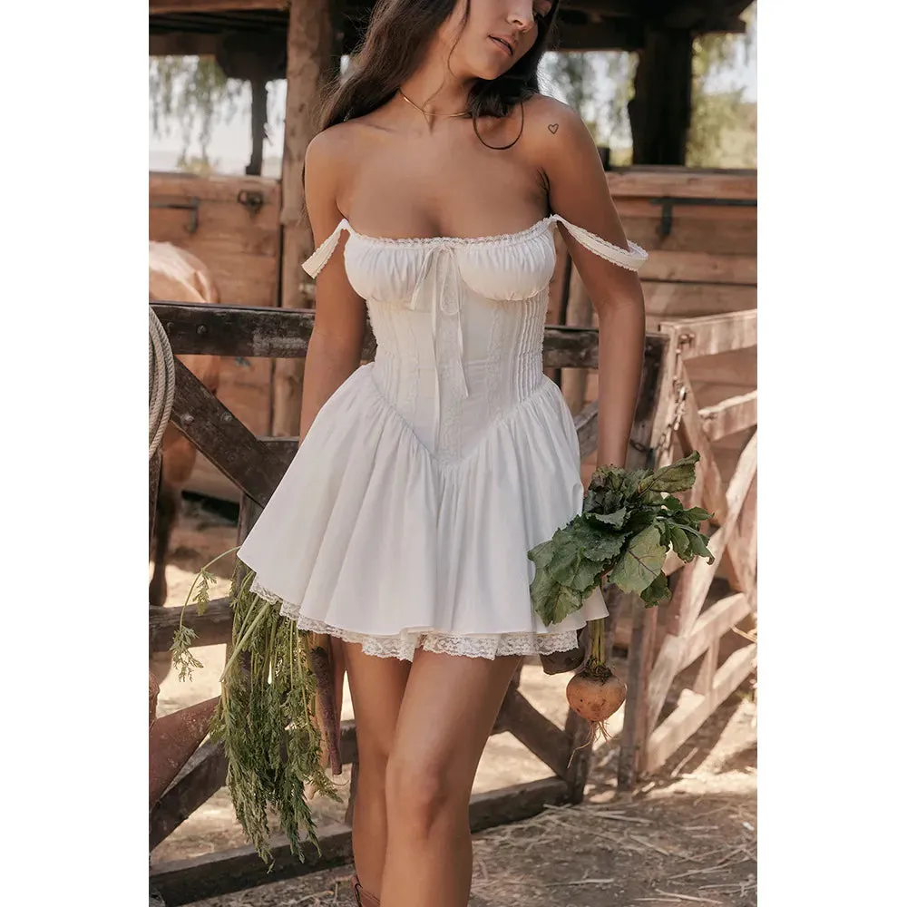Rustic Romance Corset Mini Elegance Dress